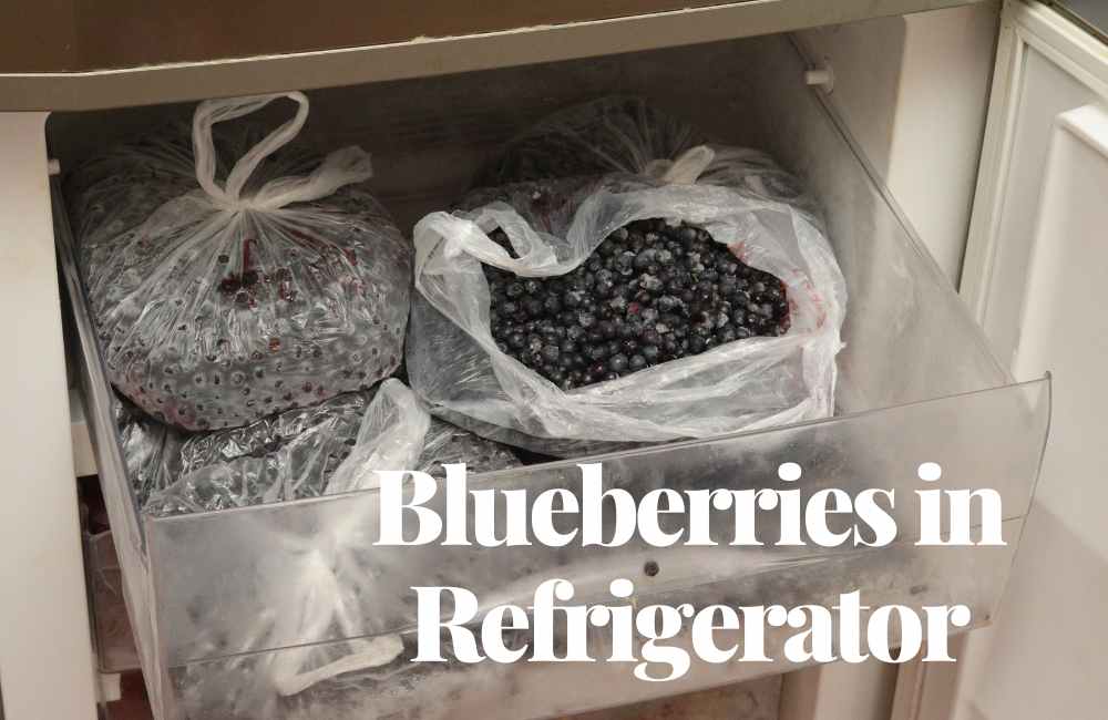 How long can blueberries sit out of the refrigerator