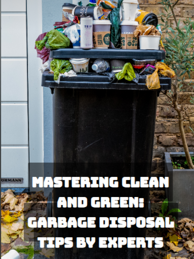 Mastering Clean And Green Garbage Disposal Tips By Experts Homexan