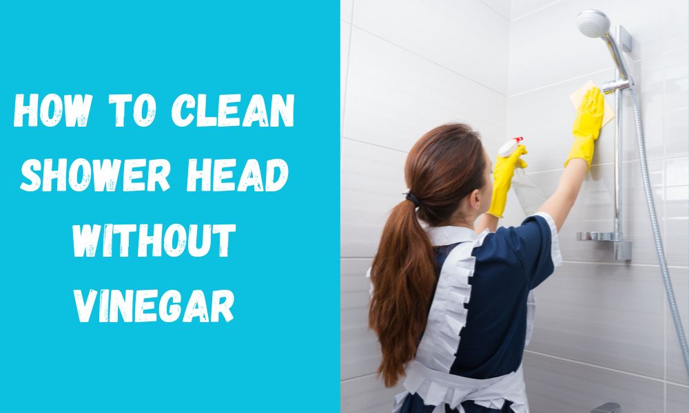 HOW TO CLEAN SHOWER HEAD WITHOUT VINEGAR FOUR ALTERNATE METHODS Homexan